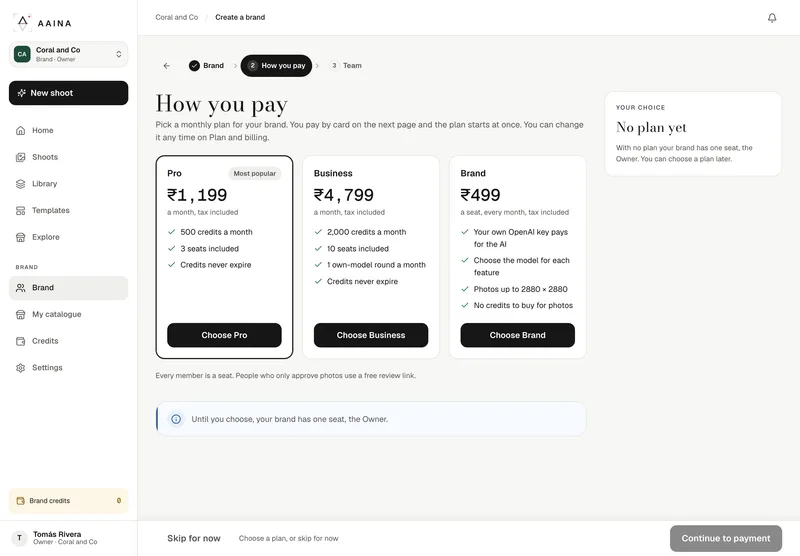 How you pay: the Pro, Business and Brand plans with what each includes, and Continue to payment