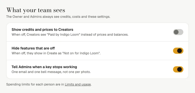 What your team sees: Show credits and prices to Creators, Hide features that are off, Tell Admins when a key stops working